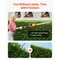 Cordless Pole Hedge Trimmer 20V 20 in Telescopic Electric Hedge Trimmer